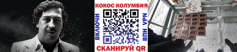 магазин продажи наркотиков  ОМГ ОМГ маркетплейс  Cocaine Эквадор  Киренск 
