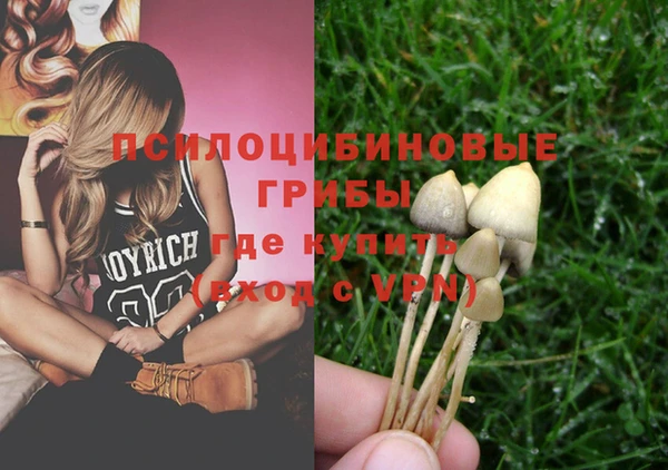 мяу мяу мука Нягань