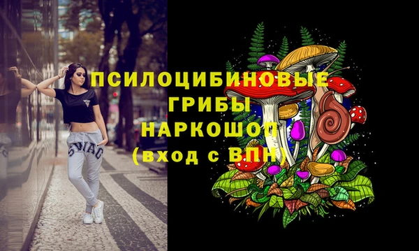 ГАЛЛЮЦИНОГЕННЫЕ ГРИБЫ Осташков