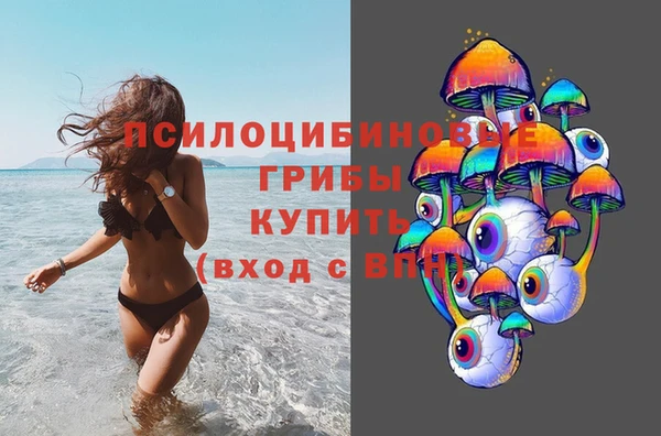 ГАЛЛЮЦИНОГЕННЫЕ ГРИБЫ Осташков