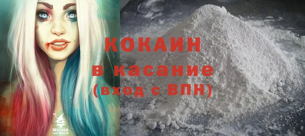 мет Няндома