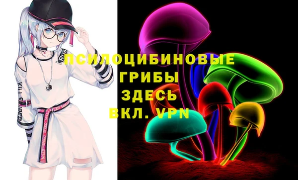 мет Няндома