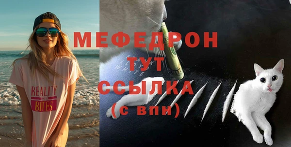 мет Няндома