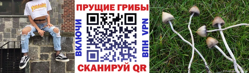 Галлюциногенные грибы Magic Shrooms Киренск